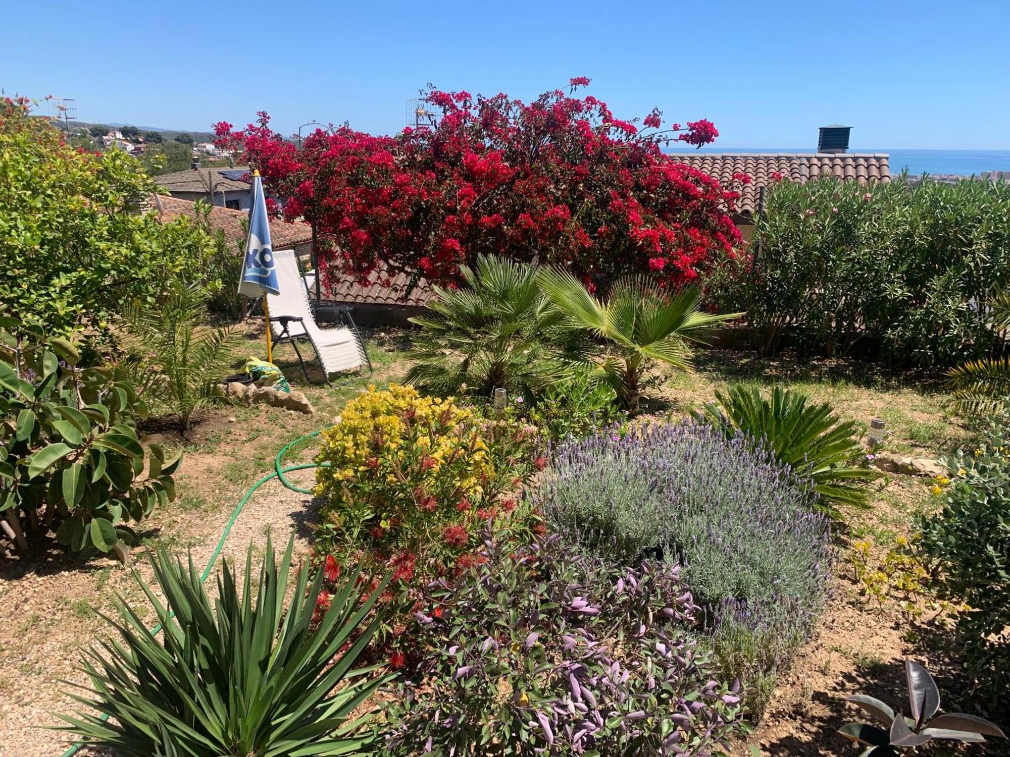 Precioso Apartamento Con Vista Al Mar Calafell Eksteriør billede